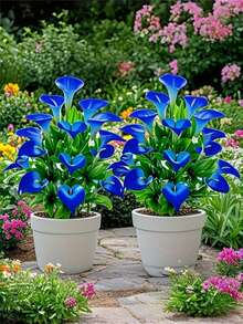 18 piezas Ramo de lirios de cala artificiales, flores falsas de tacto real, arreglo floral de plástico sin mantenimiento, adecuado para decoración de bodas, fiestas, hogar, jardín exterior, jarrón no incluido - Multicolor - Ver 1