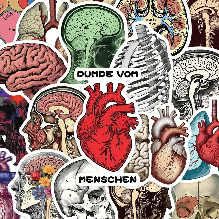 50张人体解剖贴纸 医学贴纸 趣味医学贴纸 艺术贴纸 涂鸦贴纸 酷炫贴纸 乙烯基贴纸 适用于笔记本电脑、滑板、日记本、笔记本、电脑、手机、杯子、吉他、行李箱等 - A - 查看 1