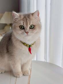 1件时尚可爱辣椒陶瓷猫咪项链，适合猫咪日常佩戴和搭配服装 - 彩色 - 查看 4
