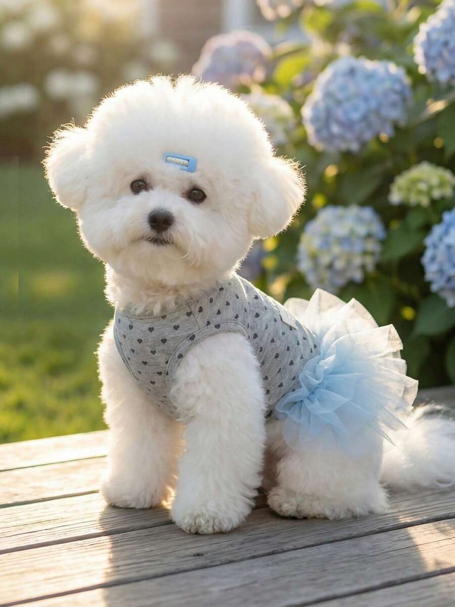 轻便可爱的格子背心,适合小型/中型犬猫,夏季穿着 - 彩色 - 查看 1