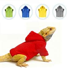 Lizard Clothing, Hoodies, T-Shirts, Pet Transformation Outfits For Outings, Lizard Walking Apparel, Exotic Pet Clothing - Fruit Green - View 11