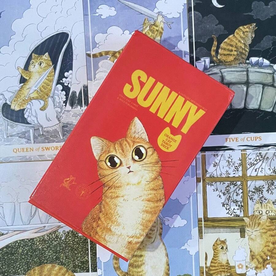 阳光橙猫塔罗牌 10.3*6厘米 - 适合初学者的趣味塔罗牌 78张 - A - 查看 1