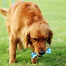 Durable Dog Chew Toy - Made Of Tough Thermoplastic Rubber, Geometric Design Helps Clean Teeth, Suitable For Training Small To Medium Dogs - View 6