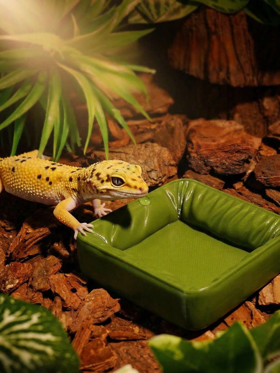 2/4 pezzi Ciotole per alimentazione rettili, ciotola per acqua ondulata per rettili, coperchio con bordo a stampa leopardata, ciotola per purea di frutta per geco, adatto per decorazione e disposizione di paesaggi, per anfibi e rettili, paesaggio per rettili, disposizione di paesaggi in miniatura, decorazione per animali domestici - Ciotola per cibo/acqua - Visualizzare 1