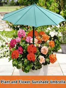 2 cái/Bộ Ô mini bonsai chắc chắn, Ô che nắng cho cây hoa, Chống tia UV/Chống nước/Cách nhiệt, 3 màu có sẵn - Xanh lá/Xanh dương/Hồng, Phù hợp cho cây con, Luống vườn, Phù hợp để bảo vệ cây cao và thấp, Chậu sân vườn, Luống hoa nâng cao, Vườn rau, Chậu ban công và giỏ treo, Cung cấp bóng râm và che mưa cho cây vườn ngoài trời, chậu và vườn rau, Đặc biệt phù hợp cho vùng khí hậu nóng - Nhiều màu - Xem 9