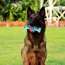 Durable Dog Chew Toy - Made Of Tough Thermoplastic Rubber, Geometric Design Helps Clean Teeth, Suitable For Training Small To Medium Dogs - View 7