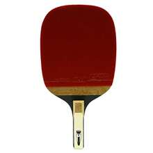 Champion XIOM M8.0P Ping Pong Raqueta de tenis de mesa tipo soporte para bolígrafo profesional + llavero - como en la foto - Ver 2