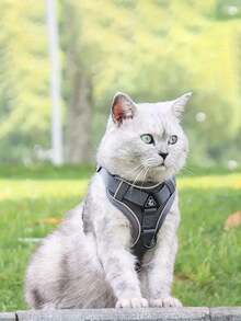 反光宠物胸背带和牵引绳套装，适用于犬猫，防逃脱可调节小型犬胸背带，带柔软网眼 - 咖啡棕 - 查看 8