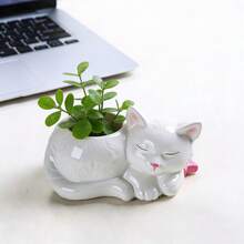 1个猫形多肉植物盆栽硅胶模具，可重复使用，适用于DIY工艺品，兼容水泥、蜡、石膏、树脂等材料，易于脱模。 - 貓 - 查看 3