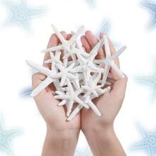 5/8/10/20pcs Mixed Color Resin Starfish & Star Flat Back Gems - 30mm Ocean Life Shaped, For DIY Crafts, Wedding Decor, Nautical Theme Party Supplies, Scrapbooking - Flat Ocean Theme Star Decorations, Suitable For Floral Typography Design - 3cm - View 4