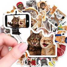 50pcs Cute Cat Stickers, Waterproof Vinyl Stickers Suitable For Laptop, Water Bottle, Skateboard, Luggage, Scrapbook, Diary, Cat Lovers, Pet Owners, Teenagers, Adults Decorative Stickers, DIY Decoration, Gift For Cat Lovers - Multicolor - View 1