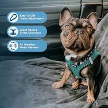 - Arnés de Malla para Perros pequeños y medianos Voyager Step-in Air para Todo Tipo de Clima Color Turquesa 2 Tonos Mediano (207T-TQ-M) - Turquesa - Ver 3