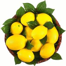 12/24/48pcs Artificial Lemon Faux Fruit With Leaves, Realistic Yellow Lemon Decor For Bowl, Table Centerpiece, Kitchen Summer Decoration - Multicolor - View 1