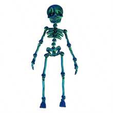 3D Movable Skeleton Doll - 20cm (7.9 Inches) Adjustable Joints Skeleton Toy, Creative Stress Relief Desk Decor, Suitable For Children Over 3 Years Old, Cool Halloween Gift For Boys And Girls - Multicolor - View 7
