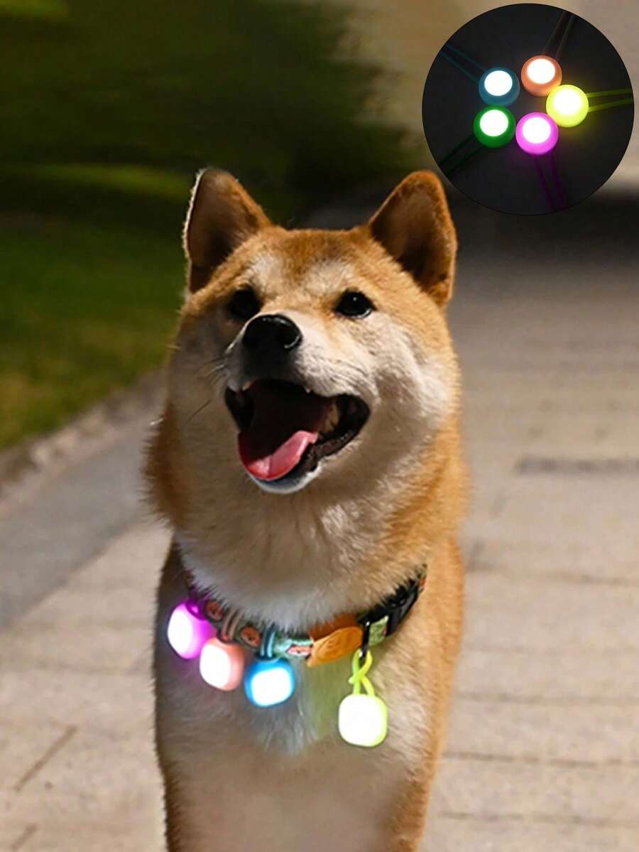 1/2pcs Pet Dog LED Pendant Night Light, Waterproof Pet Collar Pendant Lighting, Flashing For Puppy Outdoor Walking Training - Pet Lights - View 1