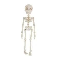 3D Movable Skeleton Doll - 20cm (7.9 Inches) Adjustable Joints Skeleton Toy, Creative Stress Relief Desk Decor, Suitable For Children Over 3 Years Old, Cool Halloween Gift For Boys And Girls - Multicolor - View 12
