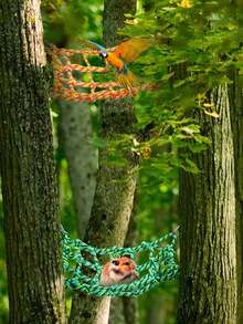 Colorful Bird Climbing Rope Net, Hamster Climbing Rope Net, Pet Hammock, Bird Ladder Rope Bridge, Small Animal Rope Net Toys, Cage Decor Accessory Set, Set Includes 1pc/2pcs/3pcs/4pcs/5pcs - View 9