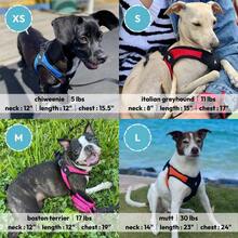 Arnés de fácil ajuste sin escape azul mediano sin tirones patentado para perros pequeños con hebilla de liberación rápida perfecto para llevar sin tirones para perros pequeños o arnés de perro mediano - Azul / Patchwork - Ver 6