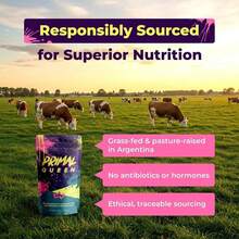 Female-Optimized Beef Organ Superfood Supplement (Beef Liver, Kidney, Heart, & 3 More) - 100% Grass Fed, Pasture Raised Cattle - Balance Hormones, Energy, & More For Women - 3PC - 查看 7