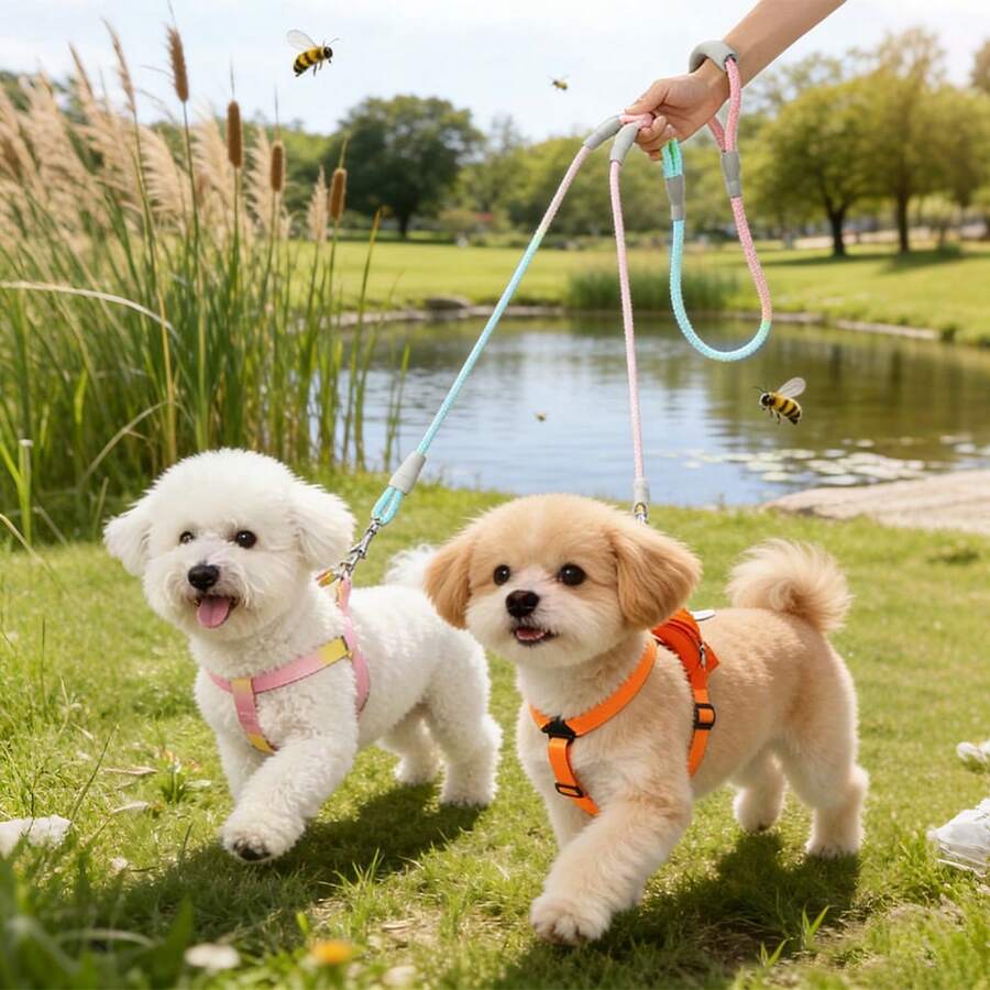 双犬牵引绳,防缠绕渐变色双犬牵引绳,配有舒适泡沫手柄,防拉扯设计 - 彩色 - 查看 1
