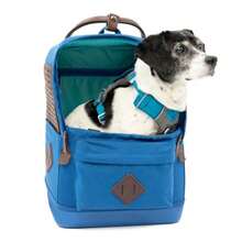 Pet Backpack - Azul / Patchwork - View 2