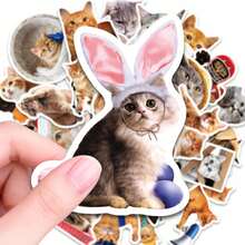50pcs Cute Cat Stickers, Waterproof Vinyl Stickers Suitable For Laptop, Water Bottle, Skateboard, Luggage, Scrapbook, Diary, Cat Lovers, Pet Owners, Teenagers, Adults Decorative Stickers, DIY Decoration, Gift For Cat Lovers - Multicolor - View 3