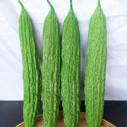 Set de 3 piezas/2 tamaños, Calabacín amargo, Berenjena y Luffa falsos realistas, Accesorios de fotografía, Decoración de frutas y verduras para exhibición en ventana