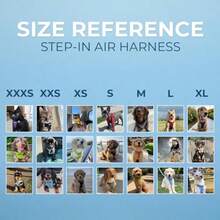 - Arnés de Malla para Perros pequeños y medianos Voyager Step-in Air para Todo Tipo de Clima Color Turquesa 2 Tonos Mediano (207T-TQ-M) - Turquesa - Ver 7