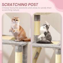 DOGAT Albero per gatti di medie dimensioni (107 cm) per gatti da interno con casetta, tiragraffi, piattaforma superiore per rilassarsi e palline da gioco – compatto, look in stile kawaii, design morbido e accogliente, centro di arrampicata e attività per gattini e gatti di piccola taglia, ideale per appartamenti e soggiorni - Grigio chiaro/beige - Visualizzare 7