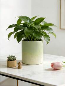 1 chậu cây hình trụ màu xanh ombre, kiểu dáng Bắc Âu, dùng để bàn. - ống thẳng màu xanh lá cây chuyển sắc - Xem 4