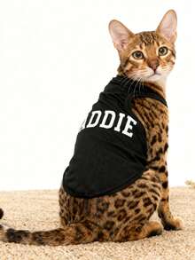 LUCKIE PAW Áo khoác cho thú cưng in chữ "BADDIE" màu đen ngộ nghĩnh, có tác dụng đuổi bọ chét, giảm rụng lông, giữ ấm và thoáng khí, phù hợp cho chó nhỏ và lớn, dùng trong nhà và ngoài trời. - màu đen - Xem 7