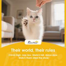 PawHut 68 Inches Cat Tree, Multi-Level Large Cat Tower Condo With Scratching Posts, Perches, Cat Houses, Dangling Toy, Green - 綠色 - 查看 9