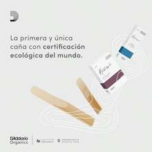 Orgánico Reserve Evolution Bb Cañas para Clarinete - Cañas Clarinete - La Primera y única Caña Ecológica - 3.0 Fuerza 10 Paquete - Dorado - Ver 2