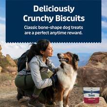 Natural Crunchy Mini Beef Biscuits Dog Treats 12oz Bag - 1 - View 5