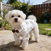 1 pieza Ropa para mascotas perros con estampado de oso lindo, camisa con corbata de moño elegante, adecuada para perros pequeños, se puede usar en todas las estaciones - Beis - Ver 1