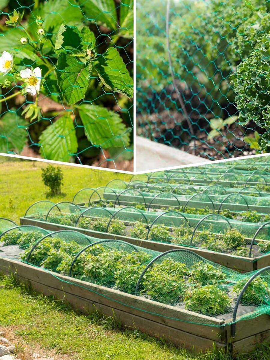 绿色编织网花园防护网保护植物、水果、花卉、树木，弹性围栏网可阻挡鸟类、鹿类等动物。