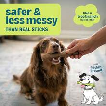 Dogwood Dog Chew Toy Real-Wood Blend Natural Flavor And Texture Moderate Chewers Small 5.4" - Gói nhỏ gồm 1 sản phẩm - Xem 3