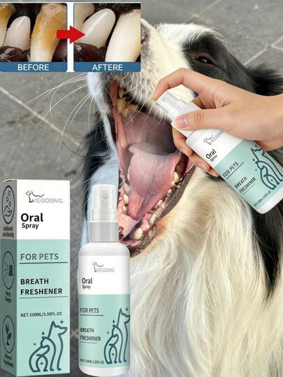 1 chai/100ml Xịt thơm miệng bạc hà cho thú cưng, 1 bộ/100g Kem đánh răng cho thú cưng + Bàn chải đánh răng*1. Tác động trực tiếp vào nguồn gốc gây mùi hôi miệng, nhanh chóng phân hủy các phân tử gây mùi, giúp thú cưng yêu quý của bạn luôn có hơi thở thơm mát và tự nhiên. Tương tác thân mật mà không gây ngại ngùng. Nhẹ nhàng làm sạch răng và làm mềm cao răng, làm dịu khó chịu ở nướu và xây dựng hàng rào bảo vệ sức khỏe răng miệng vững chắc. Một chai dùng được cho tất cả các giống chó và mèo, mọi lứa tuổi.