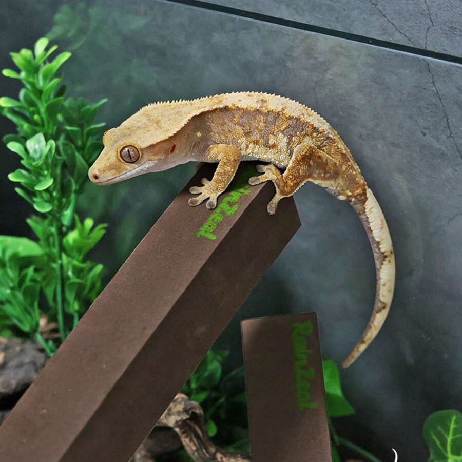 1pc Cuttable DIY Reptile Tank Decor, Suitable For Lizard, Gecko, Spider And Small Reptile Habitat Accessories, No Slippery Ramp Foam Rod - View 1