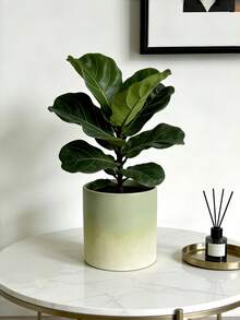 1 chậu cây hình trụ màu xanh ombre, kiểu dáng Bắc Âu, dùng để bàn. - ống thẳng màu xanh lá cây chuyển sắc - Xem 4