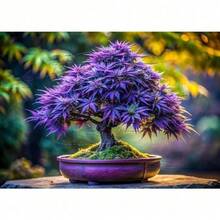 Fdfdc 12 Wisteria Willow Bonsai Plant Planting Begins - Slim And Fresh - 12 hạt giống - Xem 1