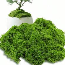 Rêu nhân tạo trang trí 50/60/80/90/100/120/160/200/230/250g, Bộ cảnh quan xanh sống động như thật, Trang trí cửa sổ tiểu cảnh, Vật liệu tự làm, Cây rêu trồng trong chậu, Trang trí sân vườn ngoài trời. - màu xanh lá - Xem 10