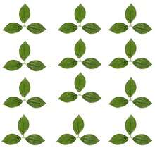 48pcs Artificial Lemon With Leaves, 2 Sizes 3.5" And 2.8", Realistic Yellow Lemon Decor For Bowl, Tabletop, Kitchen, Summer Decoration - Multicolor - View 6