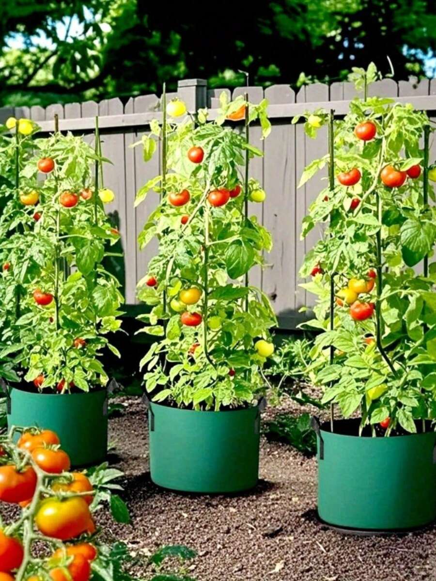 1/3pcs Large Capacity Thick Handled Planting Bags. These Gardening-Style Planting Bags Are Made Of Thickened Non-Woven Fabric, Lightweight And Portable, Suitable For Indoor And Outdoor Use, Tear-Resistant, With A Cross-Stitched Design. - Multicolor - View 1