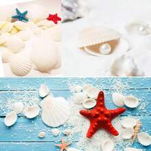 200/100 vỏ sò trắng, bộ vỏ sò ngọc trai, vỏ sò trắng, bào ngư, trang trí bể cá, vỏ sò trắng tự nhiên cỡ nhỏ, số lượng lớn dùng cho thủ công mỹ nghệ, trang trí nhà cửa, tiệc chủ đề bãi biển, trang trí bình hoa, làm vòng tay, trang trí đám cưới, trang trí bàn. - vỏ bọc - Xem 8