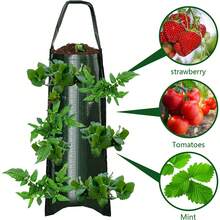8/10 Löcher Tomaten Pflanzer, Hängende Erdbeeren/Tomaten/Kartoffeln/Gemüse Anzuchtsäcke - Verschiedenfarbig - Übersicht 2