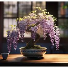 Weeping Wisteria Bonsai Plant Indoor Desktop Balcony Garden Decorative Potted Plant Air Purifying Plant Cold Resistant Suitable For All Seasons DIY Garden Home Garden Flower Pot And Courtyard - Ideal Gardening Gift - Free Delivery - Local Ready Stock - 預設 - 查看 1