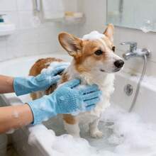 2只宠物洗澡手套，犬猫洗澡梳理刷，防抓防咬，适用于泰迪熊、金毛寻回犬等宠物 - 查看 3
