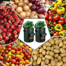 Túi trồng cây trong vườn, Túi trồng rau trong vườn: Túi trồng cà rốt, cà chua, hành tây, khoai tây có nắp đậy, Chậu trồng cây. - Nhiều màu - Xem 5