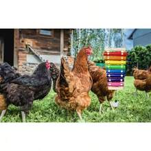 Hühner Spielzeug, Hühner Zubehör, bunte Holz-Xylophon Holz- und Metallzubehör, Hängende Kette Schlagzubehör, einige Farben zufällig - Verschiedenfarbig - Übersicht 4